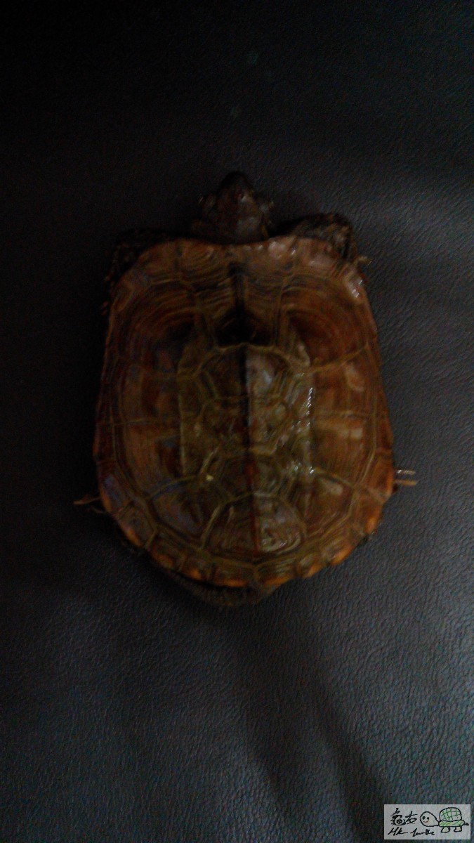 IMG_20150402_183551.jpg