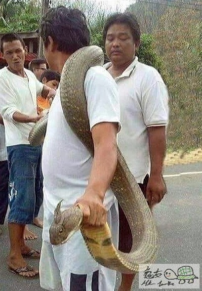 2015-04-14 17.36.41.jpg