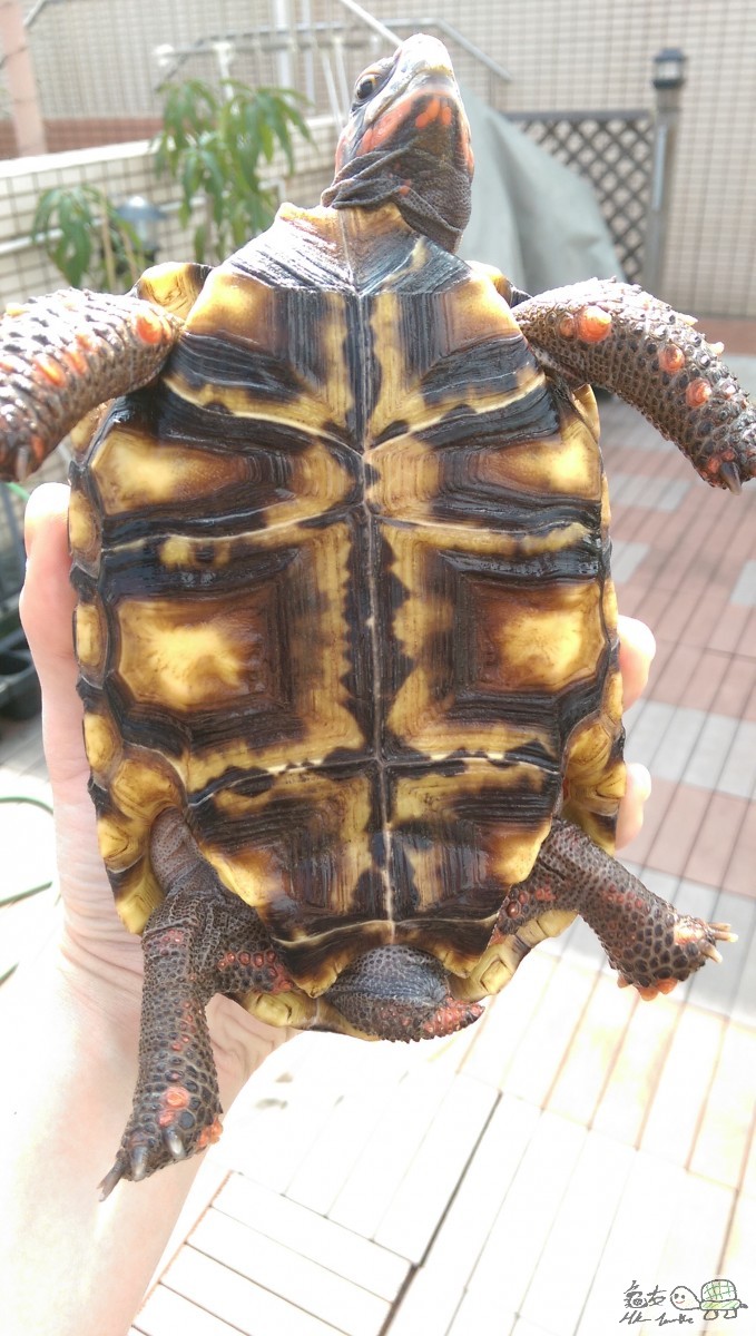 2015-04-25 15.19.15.jpg