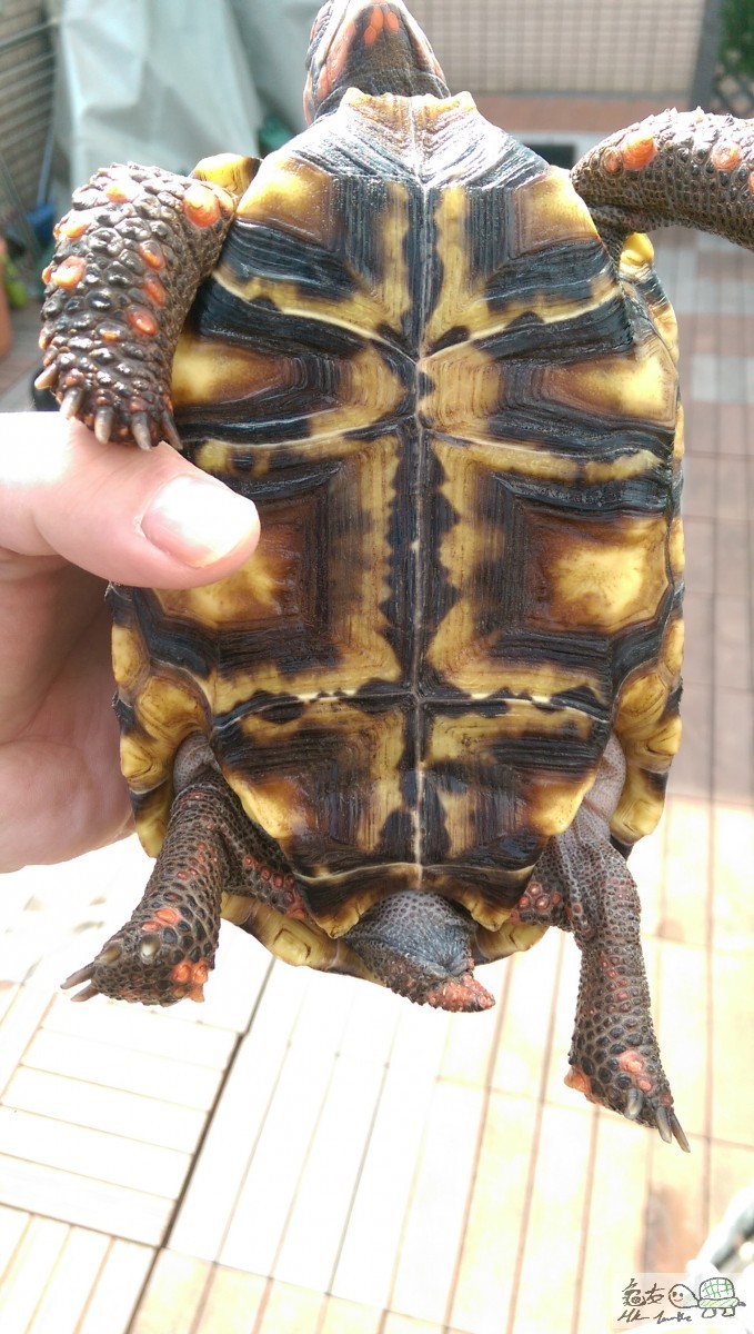 2015-04-25 15.19.29.jpg