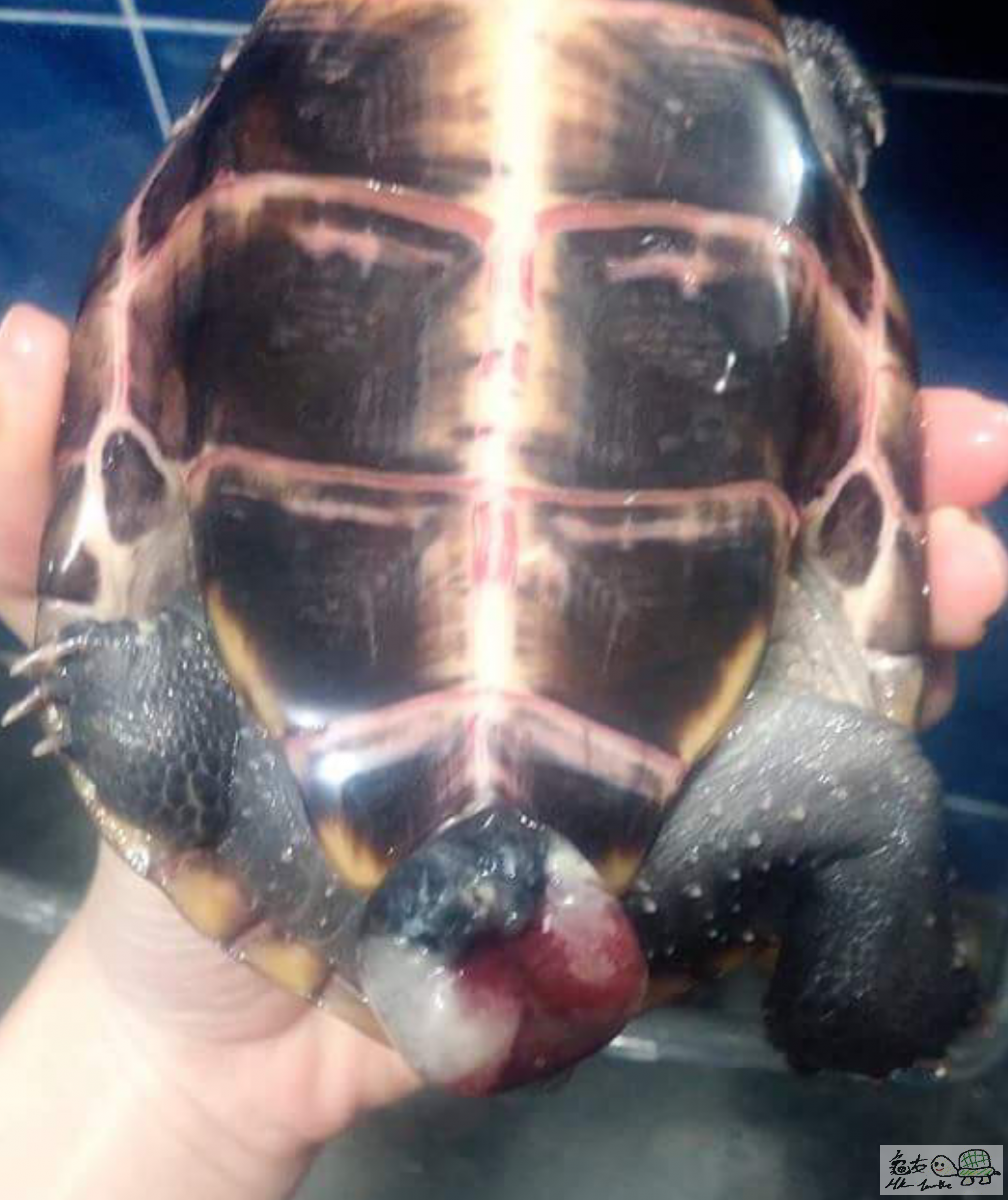 2015-05-10 23.22.32.png