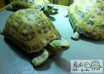 複製 -20150513_132748.jpg