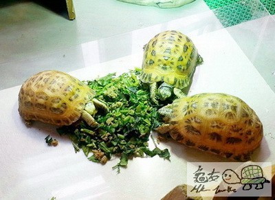 複製 -20150507_114823-1.jpg