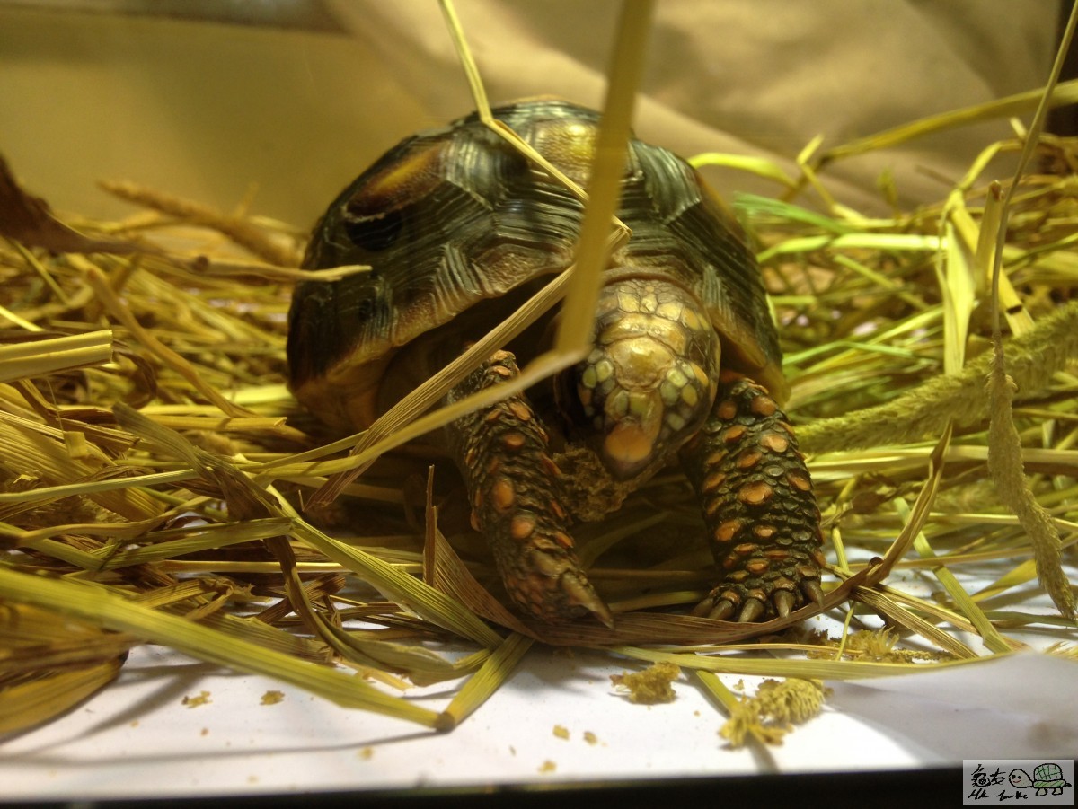 2015-05-20 20.17.02-1.jpg