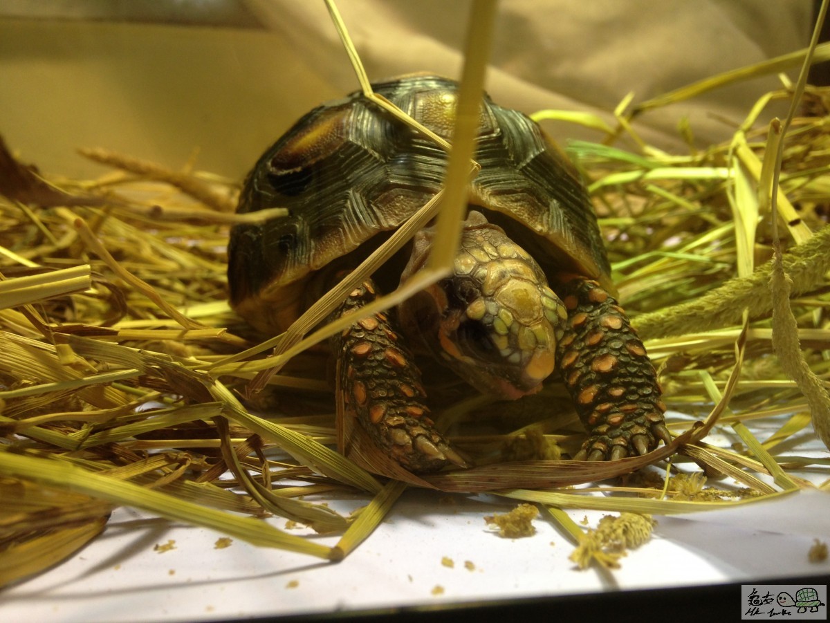 2015-05-20 20.17.10.jpg