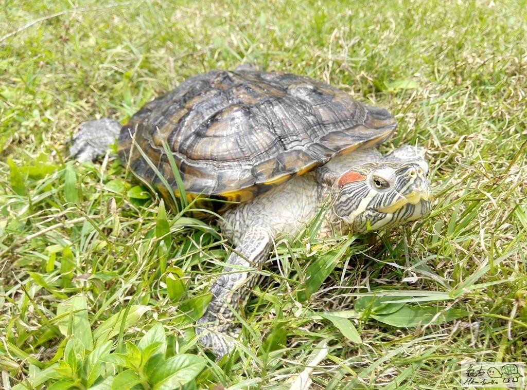 2015-04-18 12.48.26 (small).jpg