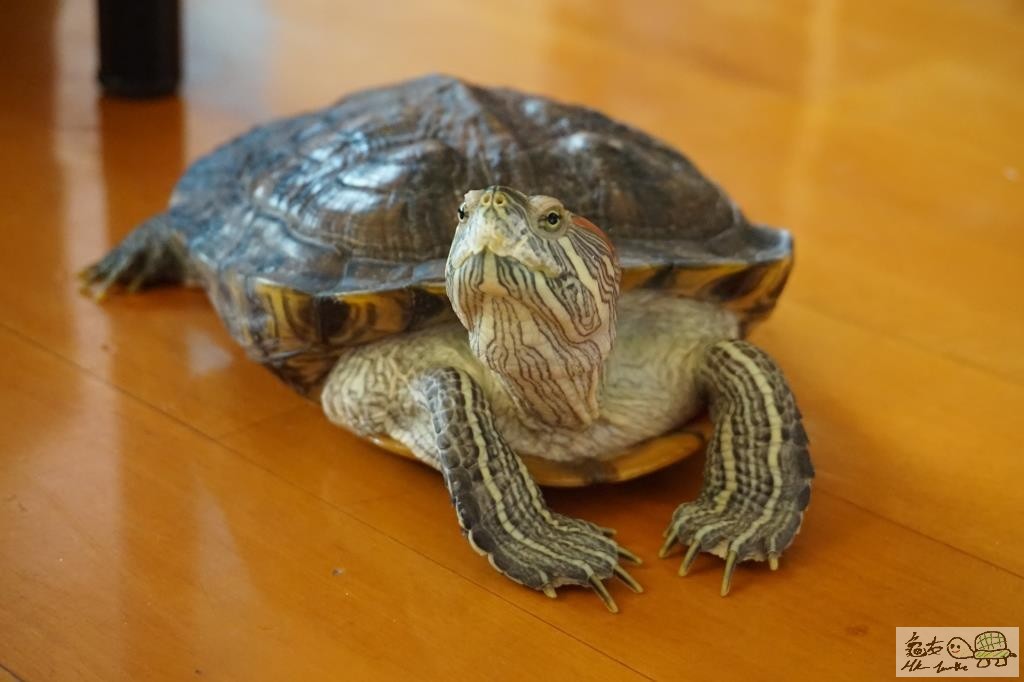 DSC00483 (small).jpg