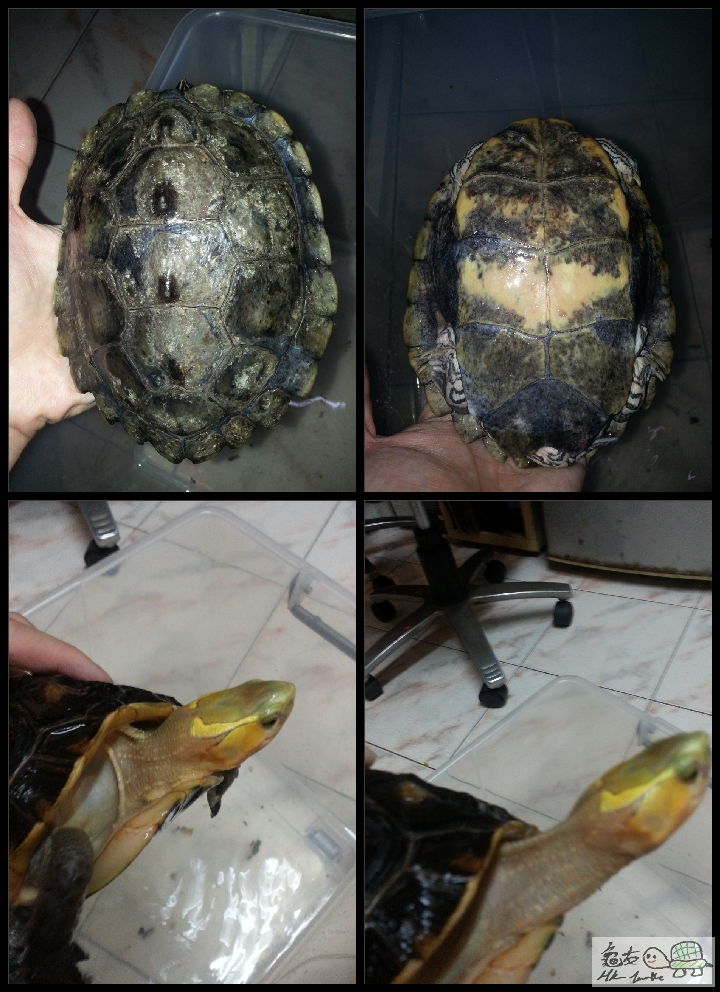 2015-05-28 21.42.46.png