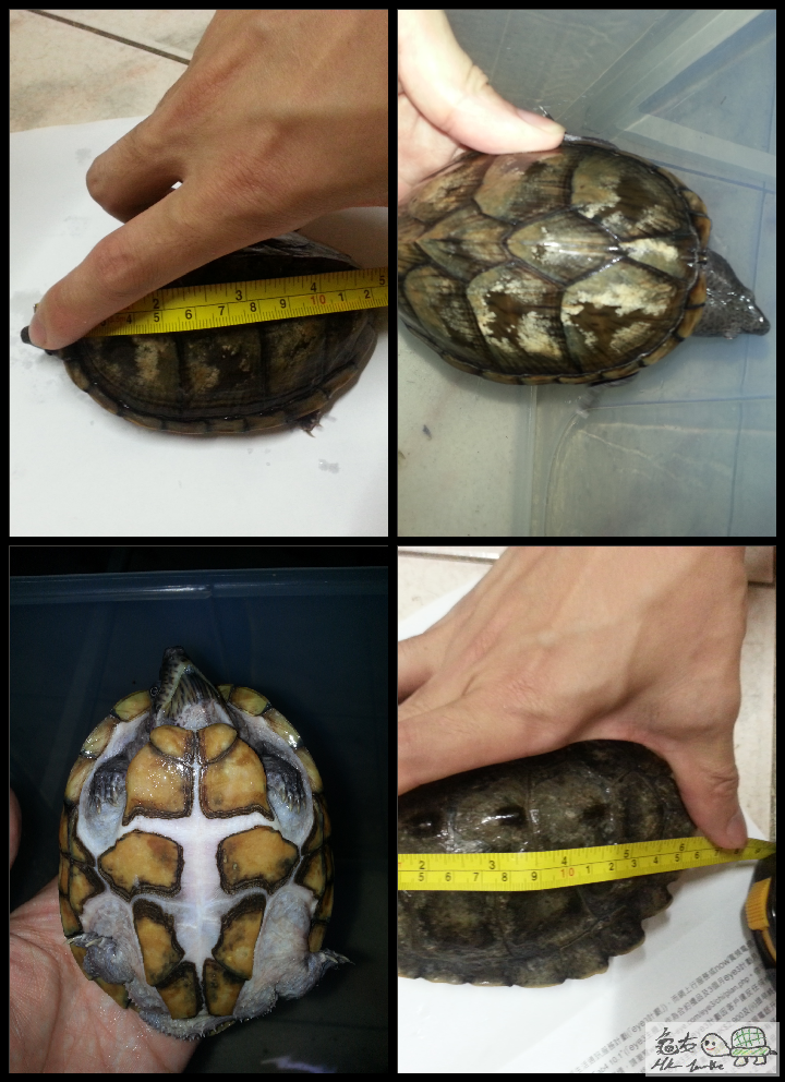 2015-05-28 21.39.16.png