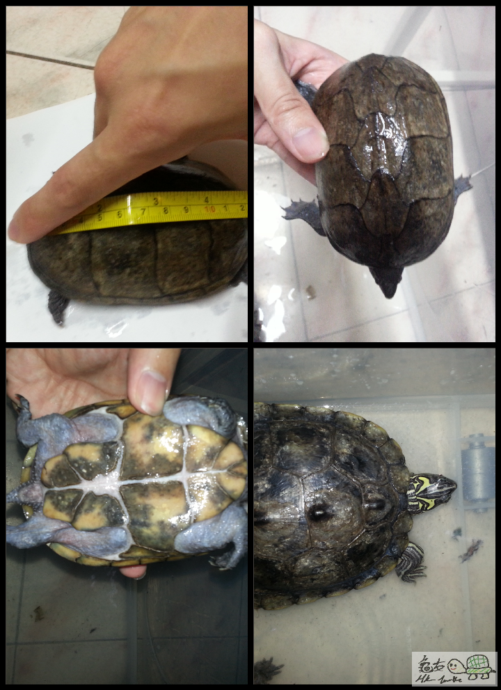 2015-05-28 21.37.10.png