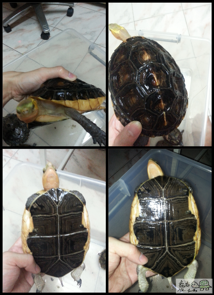 2015-05-28 21.35.40.png