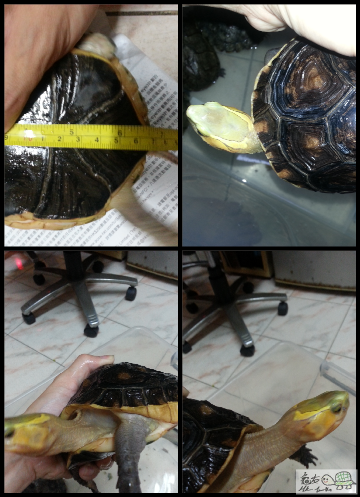 2015-05-28 21.33.53.png