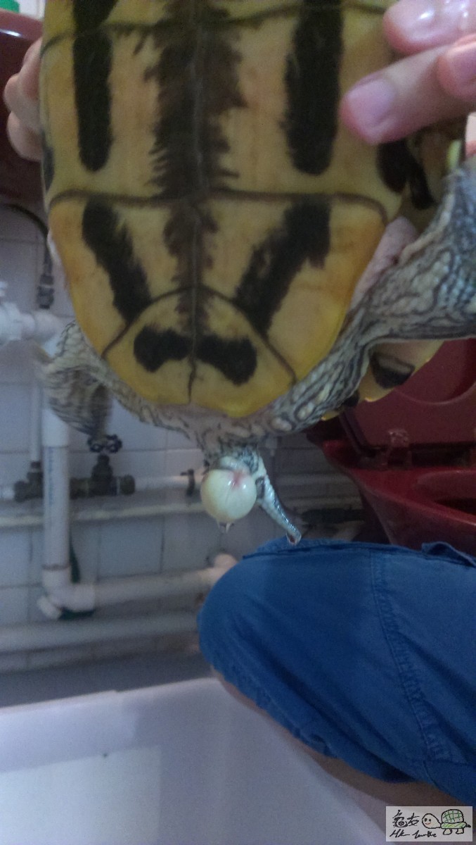 2015-06-06 19.25.12.jpg