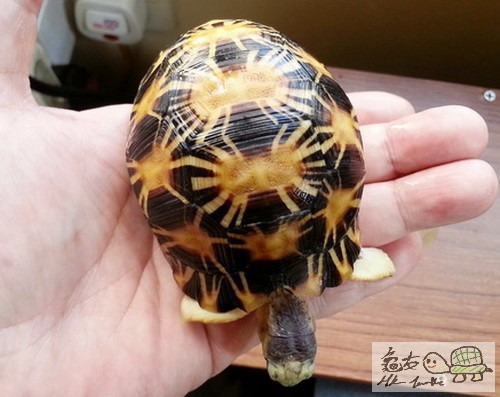 複製 -20150329_154445.jpg