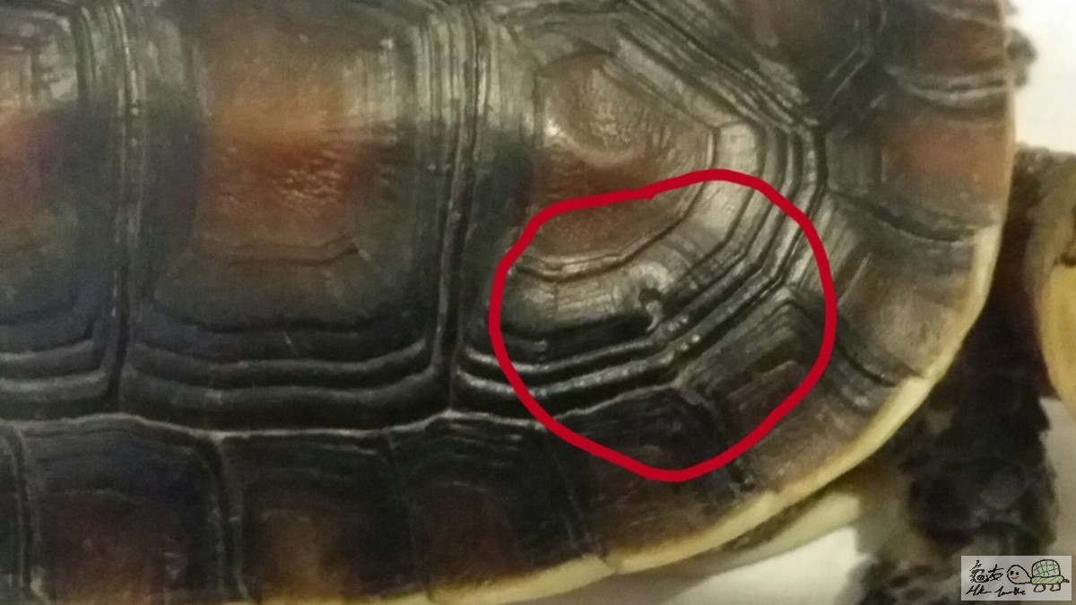 2015-06-26 07.13.12.jpg