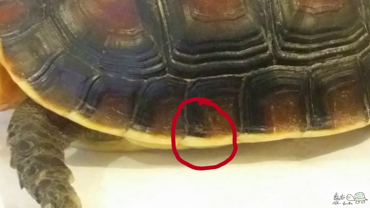 2015-06-26 07.12.24.jpg