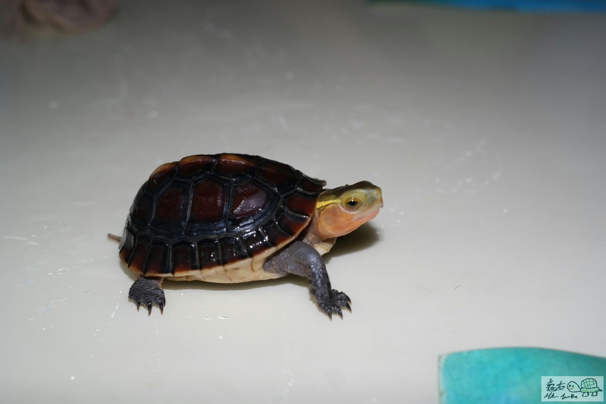 2015-06-27 18.46.08.jpg