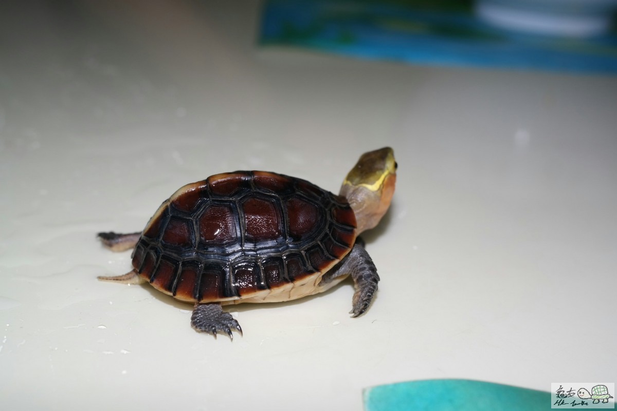 2015-06-27 18.46.29.jpg