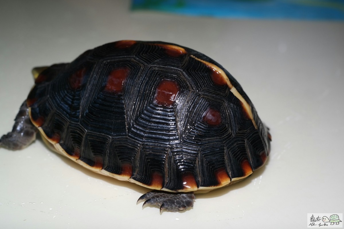 2015-06-27 18.47.04.jpg