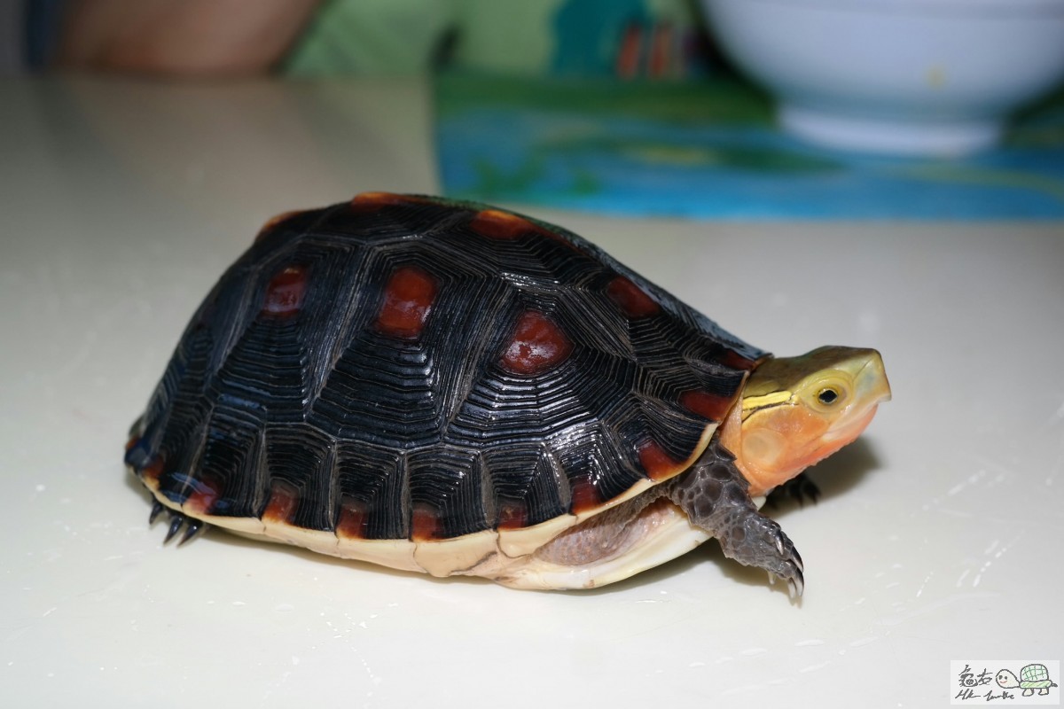 2015-06-27 18.47.24.jpg