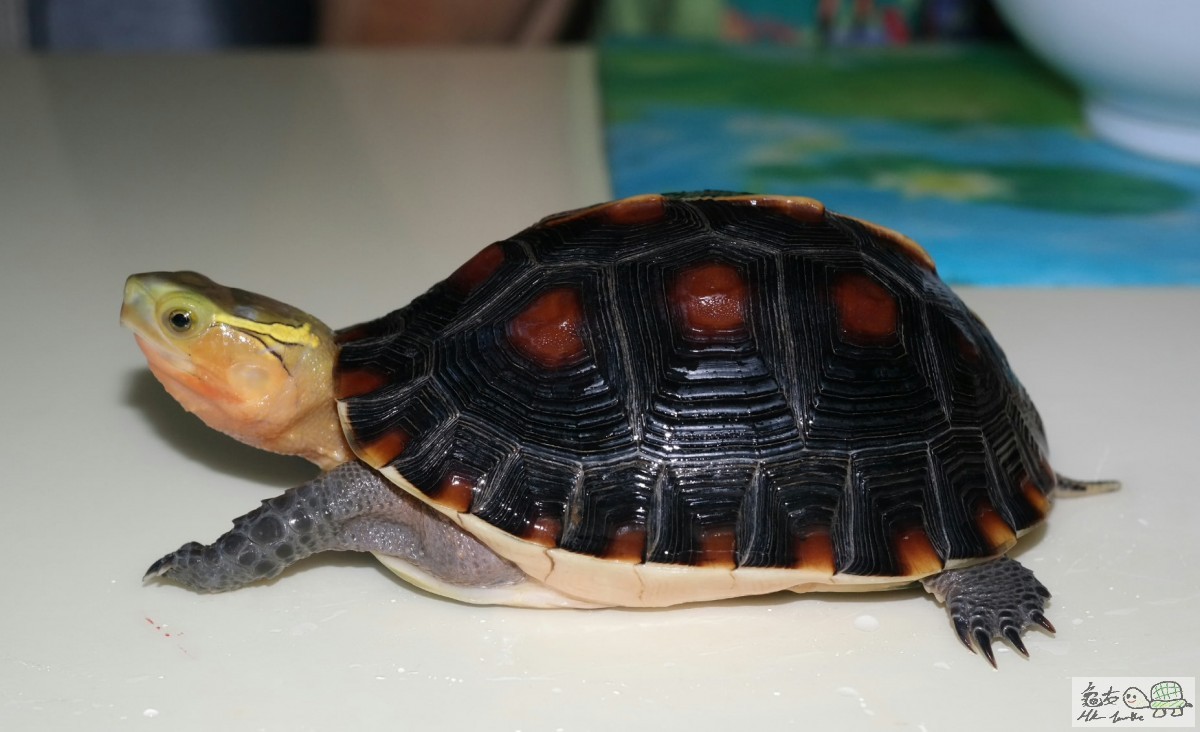 2015-06-27 18.49.02.jpg