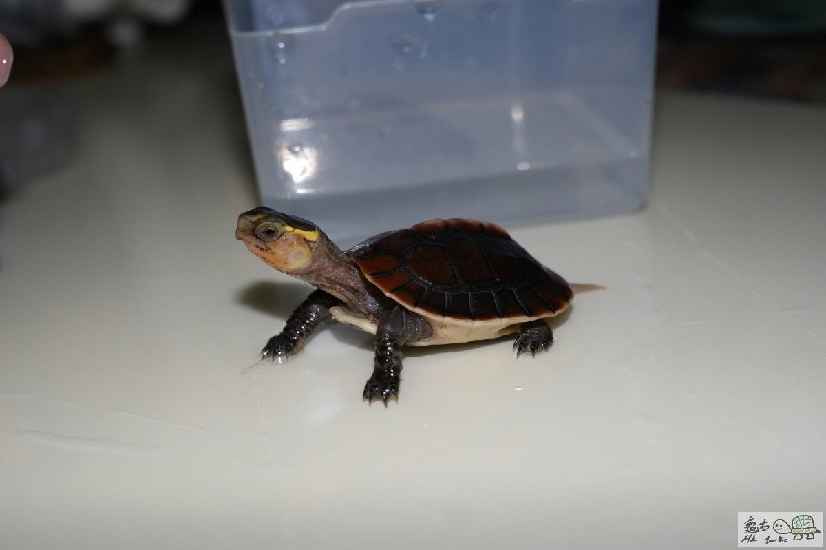 2015-06-29 02.02.09.jpg