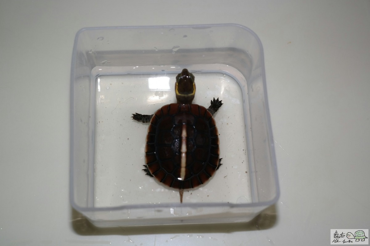 2015-06-29 02.02.36.jpg