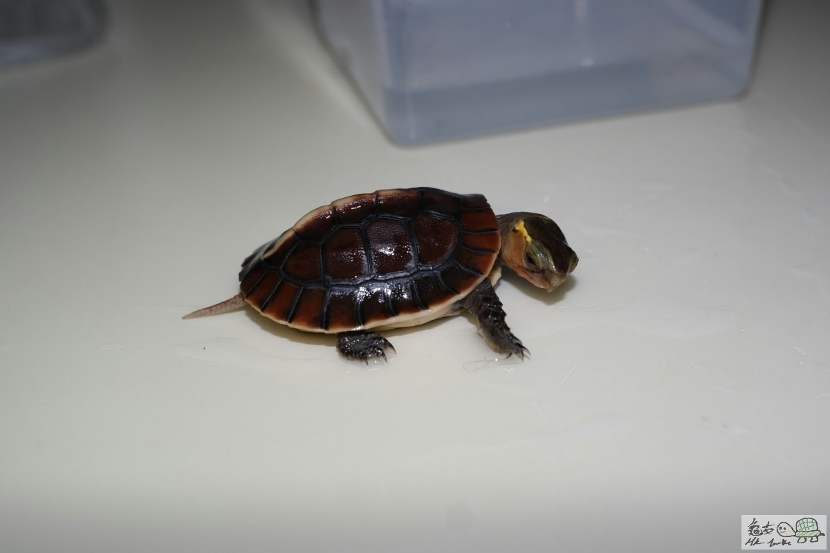 2015-06-29 02.02.53.jpg