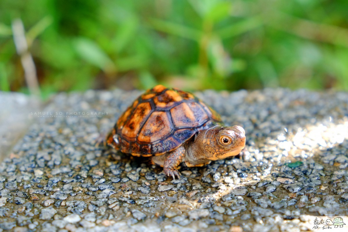 Photo 27-6-15 9 22 54 am.jpg