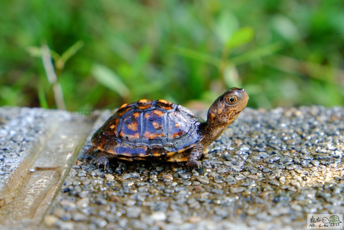 Photo 27-6-15 9 24 23 am.jpg