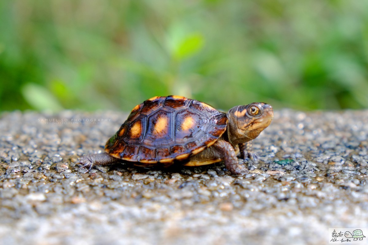 Photo 27-6-15 9 26 38 am.jpg