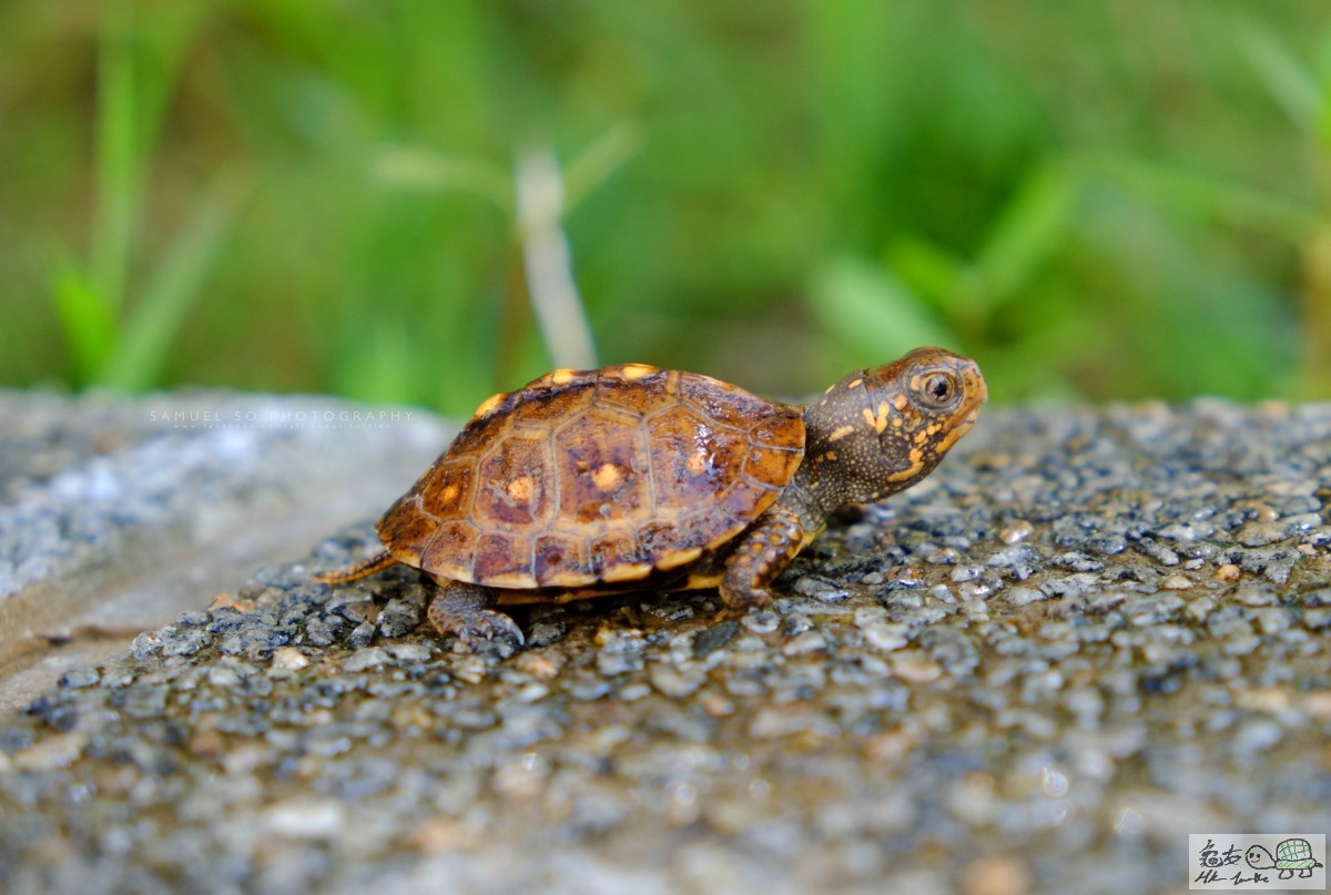 Photo 27-6-15 9 27 36 am.jpg