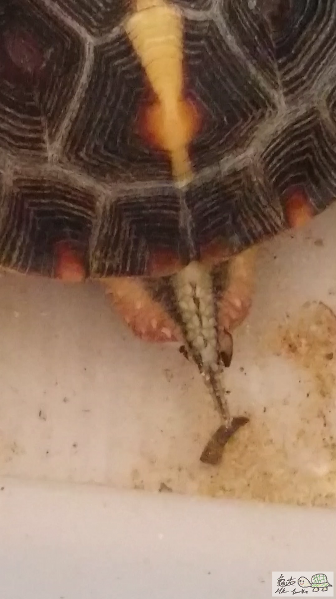 2015-07-11 01.50.02.png