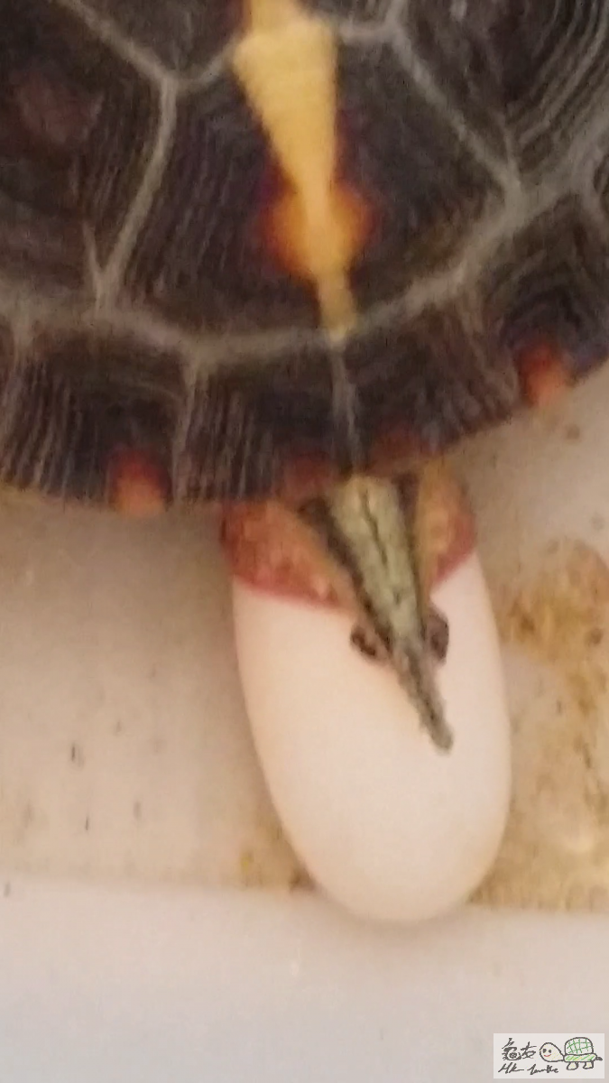 2015-07-11 01.49.34.png