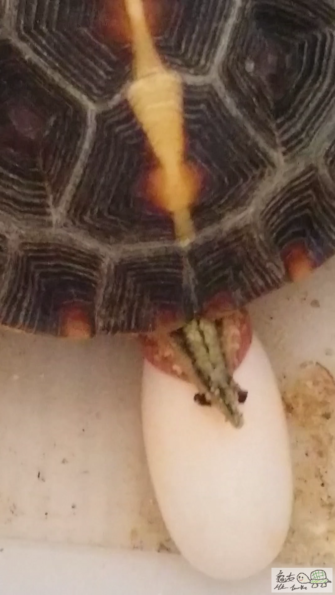 2015-07-11 01.50.31.png