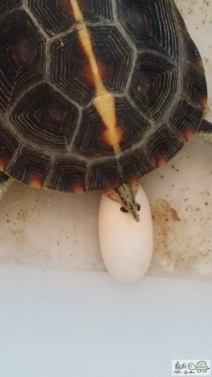 2015-07-11 01.51.05.png