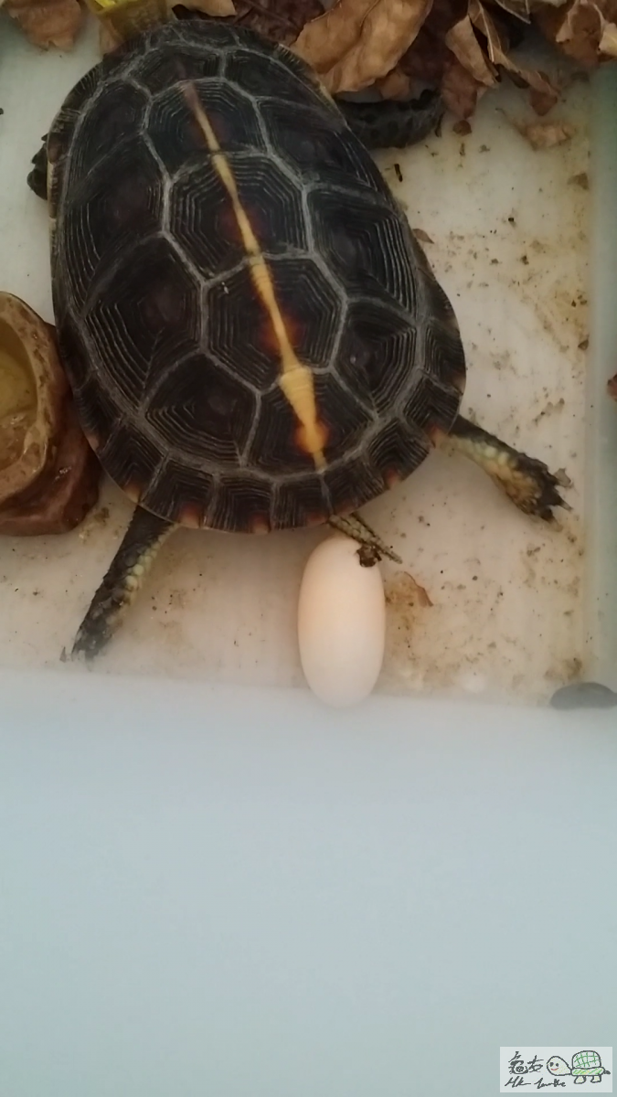 2015-07-11 01.37.53.png