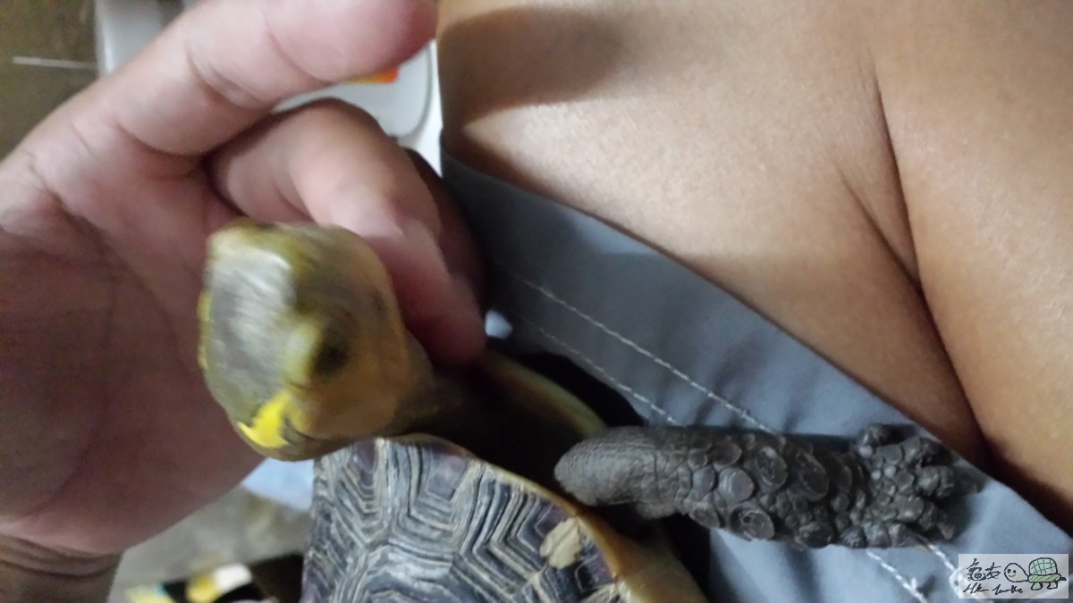 20150702_220128.jpg