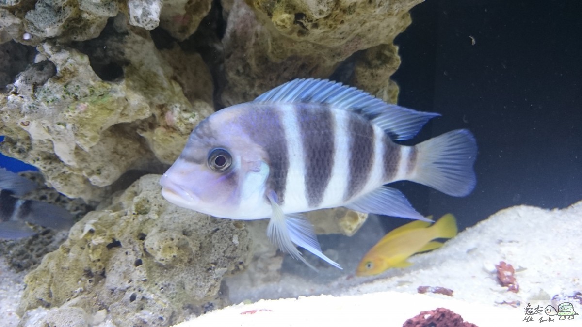 DSC_0414.JPG