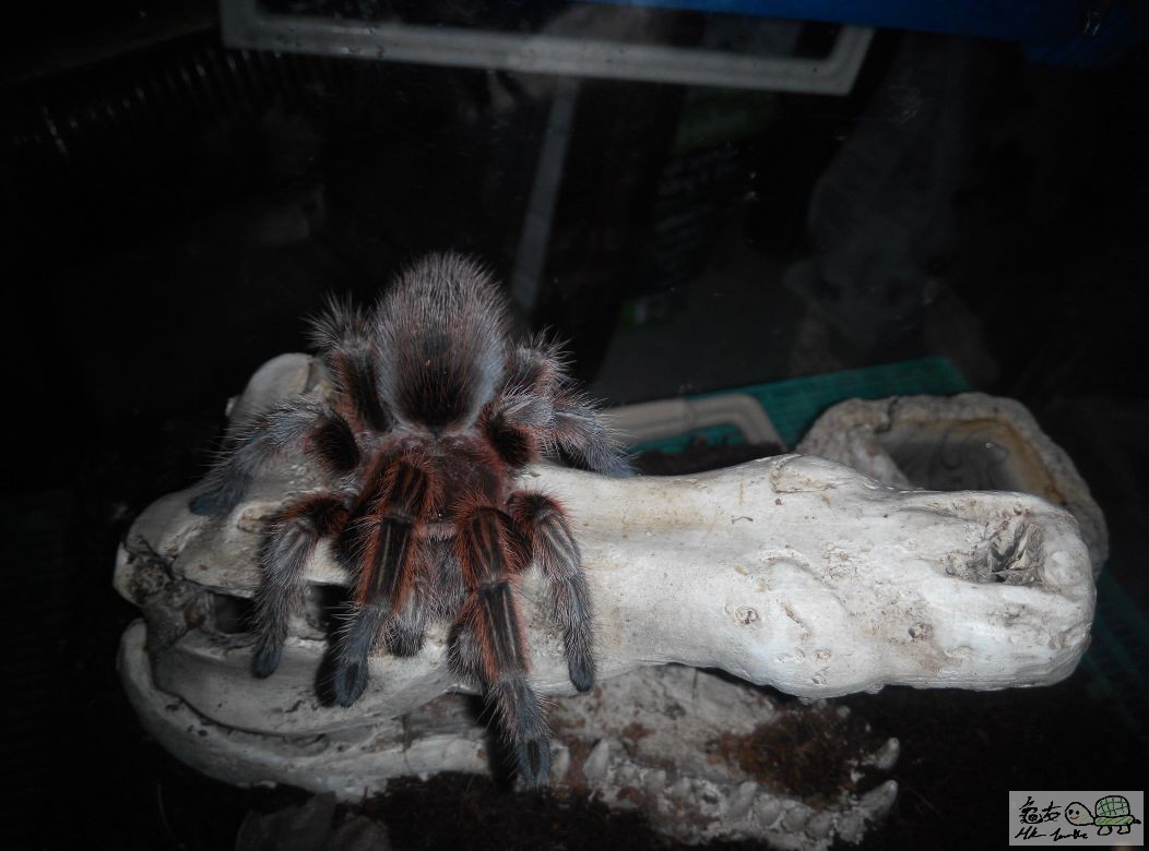 IMG-20150721-WA0000 (2).jpg