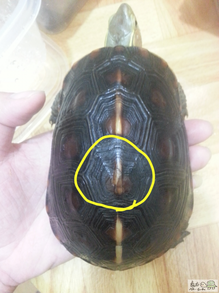 2015-07-28 01.25.41.png