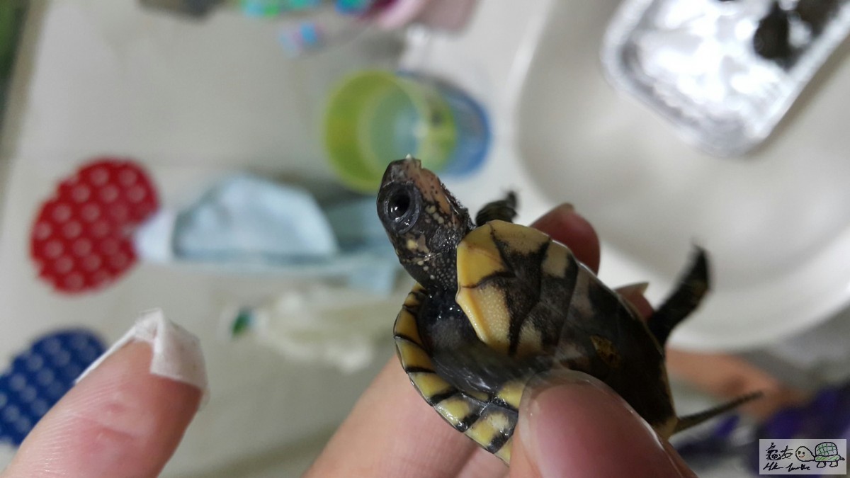 2015-07-30 23.23.06.jpg