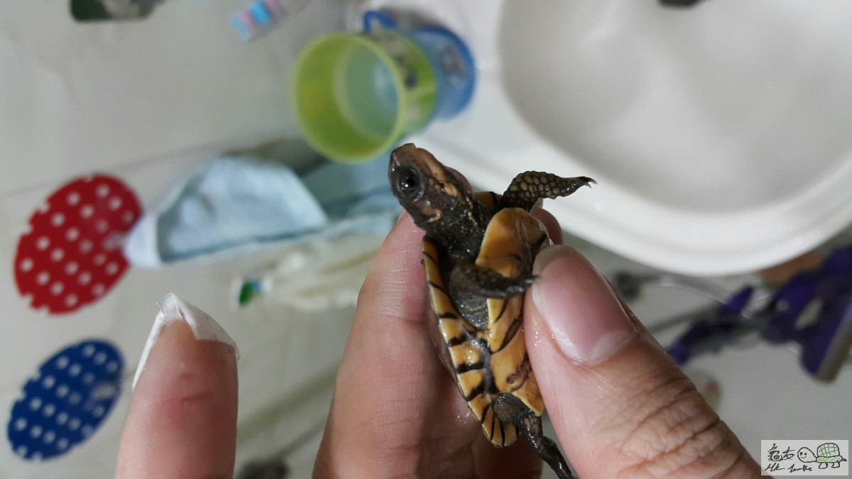 2015-07-30 23.23.28.jpg