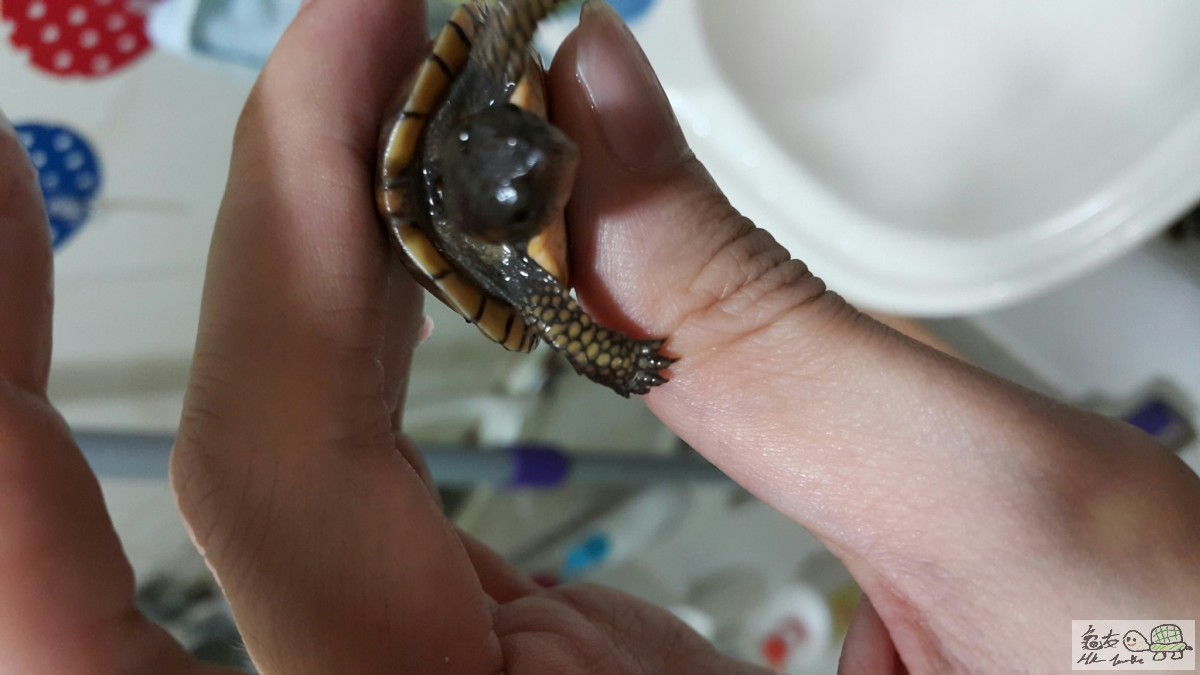 2015-07-30 23.23.46.jpg