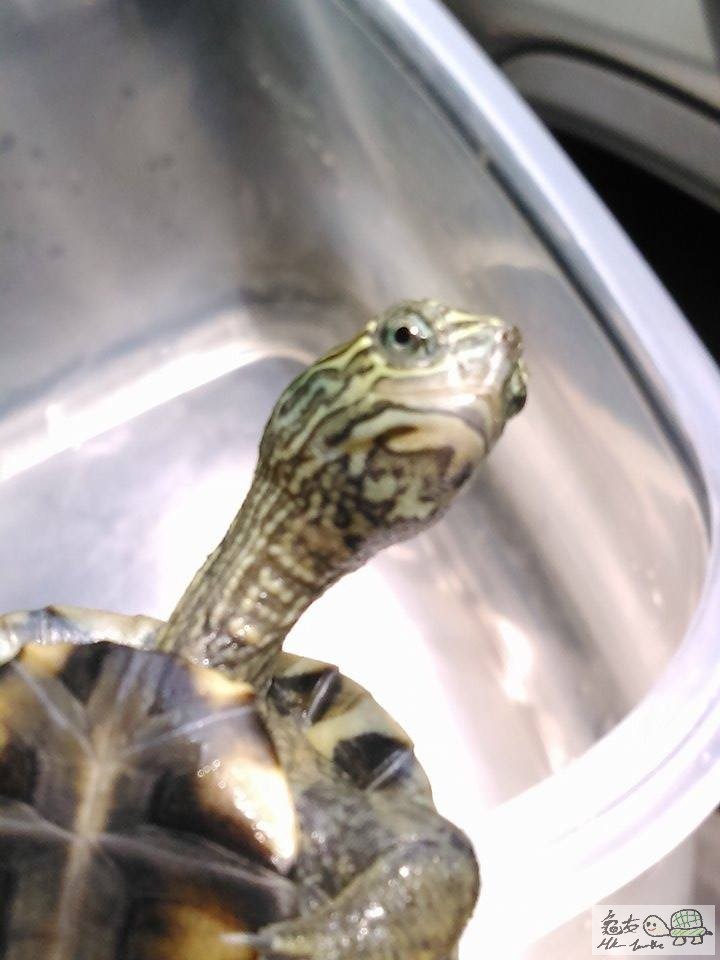 11780440_1006209749401669_1389064683_n (1).jpg