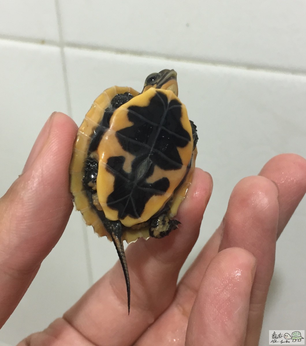 FullSizeRender 7.jpg