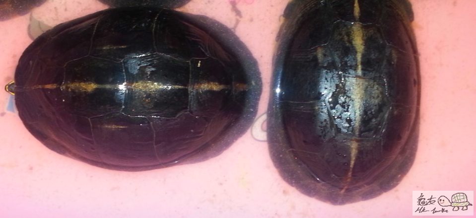 2015-07-31 16.26.17.png111.png