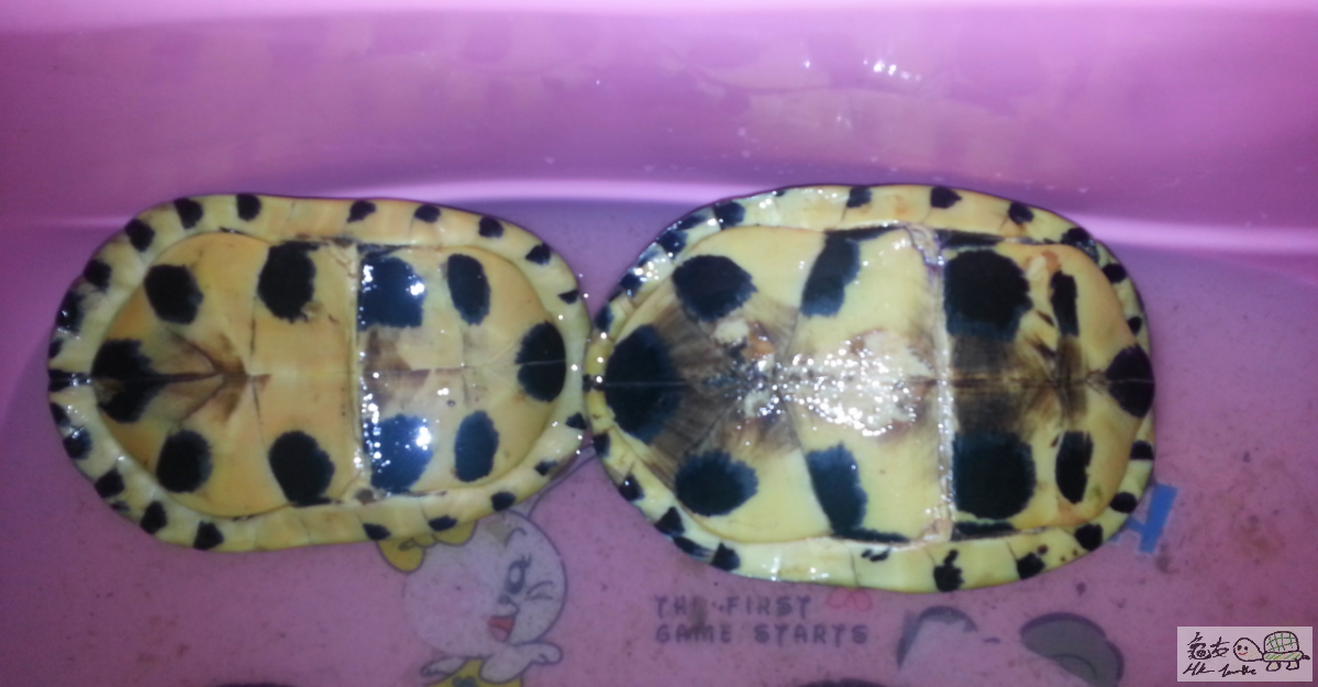 2015-07-31 16.28.55.png222.png