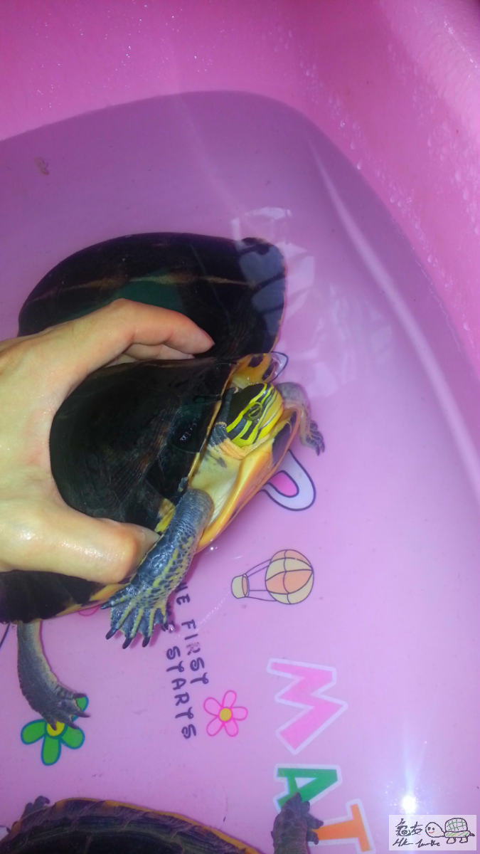 2015-08-02 19.07.22.png555.png