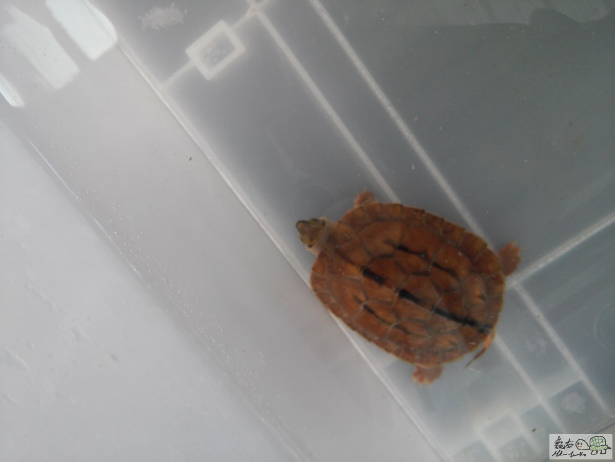 20150803_114546.jpg